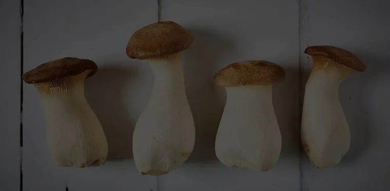 Four king oyster mushrooms grown by Little Acre
